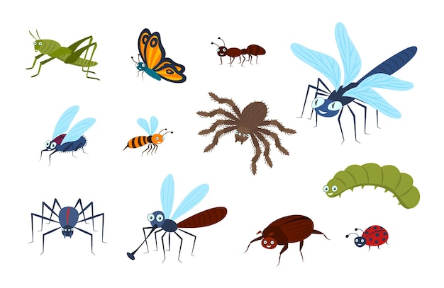 Set di vettori di icone di coleotteri a colori diversi
