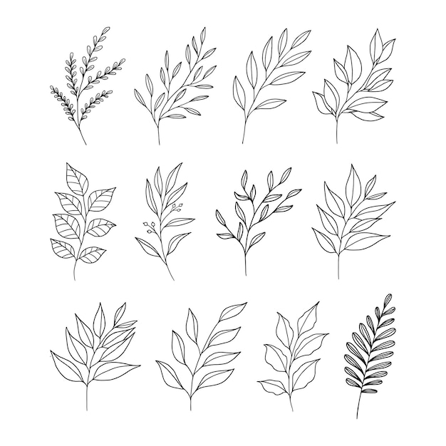 Set di vettori di illustrazione delle foglie