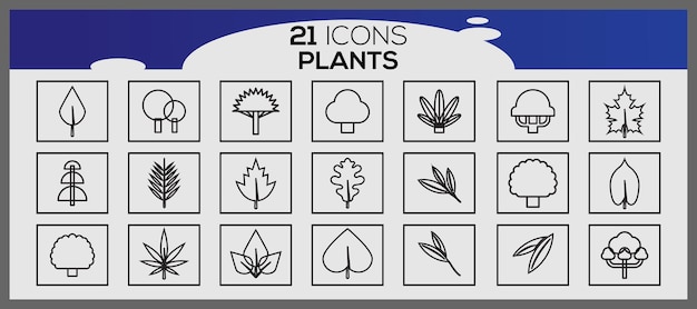 Set di vettori di piante disegnati a mano Set di icone di piante diverseSet di piante ornamentali