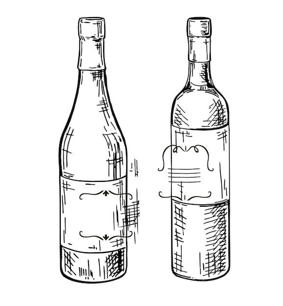 set di vini disegnato a mano con inchiostro schizzo illustrazione di stili di vino in stile inciso vintage