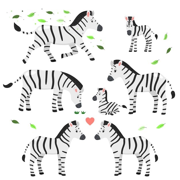 Set di zebre, illustrazione infantile.