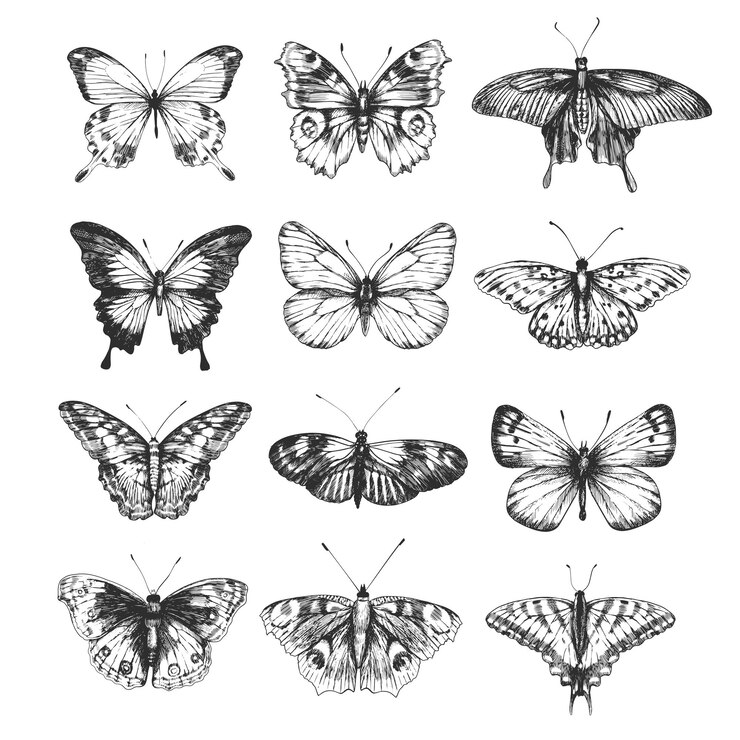 Set digitale di immagini di farfalle in stile retrò Illustrazione vettoriale di farfalla