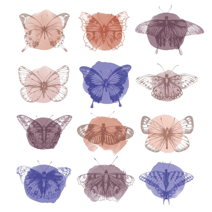 Set digitale di immagini di farfalle in stile retrò Illustrazione vettoriale di farfalla