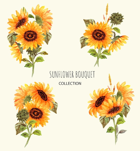 set disegnato a mano di bouquet di girasoli