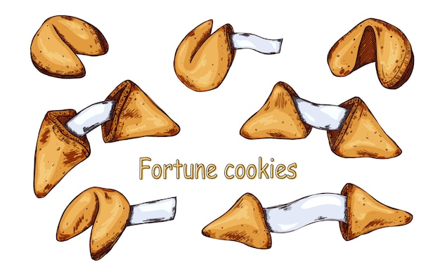 Set disegnato a mano di vettore di biscotti cinesi della fortuna Biscotto croccante con un pezzo di carta bianco all'interno