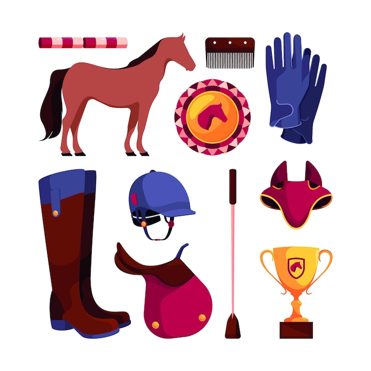Vettore set equestre set di illustrazioni piatte vettoriali sgargianti per la cura del cavallo con casco sportivo da cintura