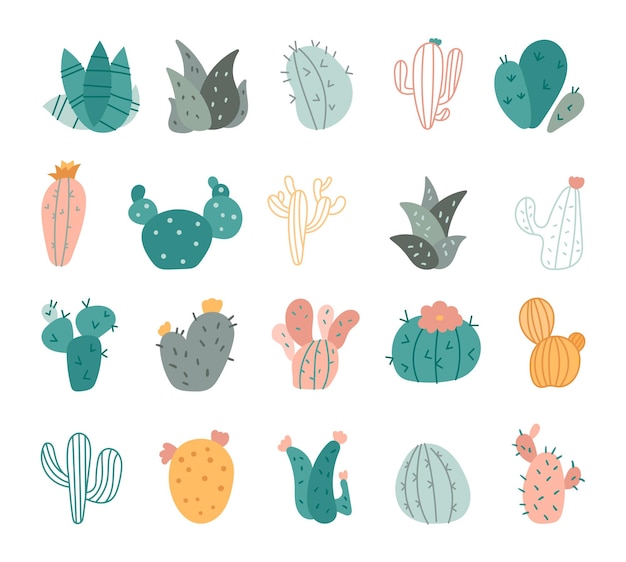 Set in stile scandinavo a cactus