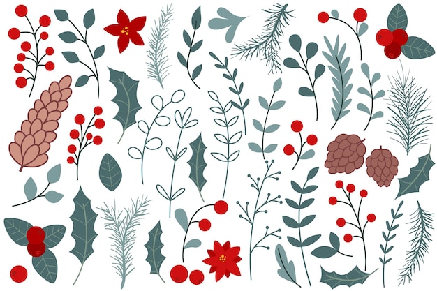 Set invernale di elementi botanici per la progettazione di fiori poinsettia coni di aceto bacche fogliame e ramoscelli