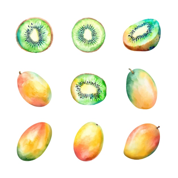 Set kiwi e mango acquerello Illustrazione dipinta a mano isolata su sfondo bianco