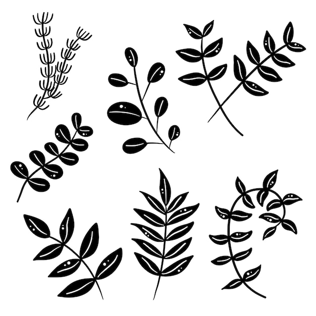 Set naturale botanico Green Leaf Clipart