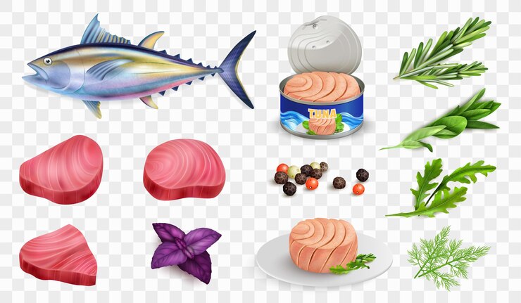 Vettore set trasparente di tonno realistico con icone isolate di pesce intero e bistecche in lattina con illustrazione vettoriale di verdure
