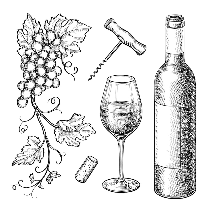Vettore set uva e vino. schizzo di inchiostro in stile vintage.