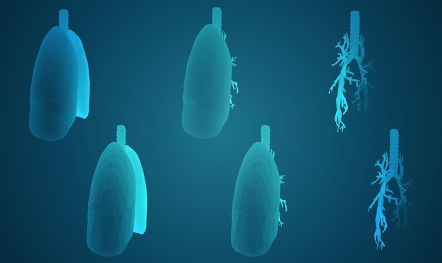 Set vettoriale 3D polmoni e bronchi su sfondo colorato Elemento per la progettazione medica