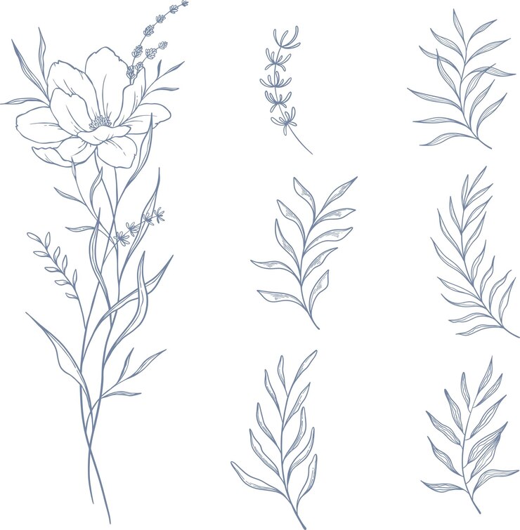 Vettore set vettoriale bellissima corona floreale blu e foglie elementi artistici di linea set botanico disegnato a mano