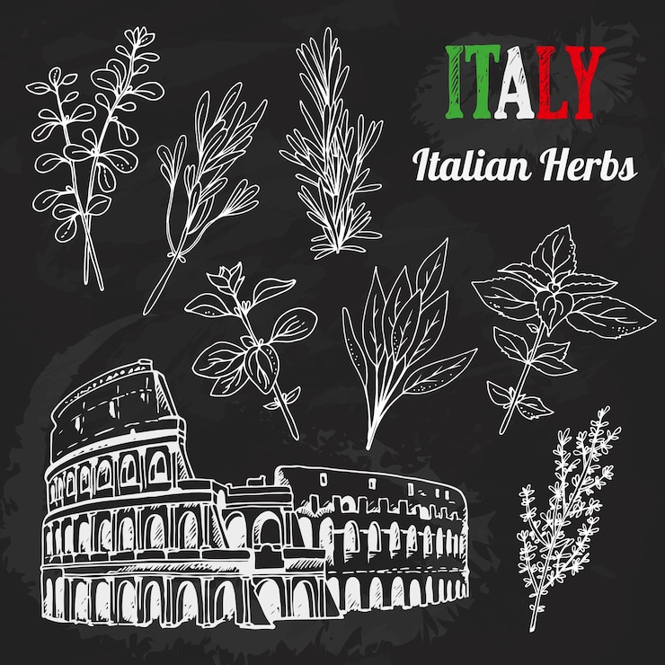 Vettore set vettoriale di erbe italiane collezione disegnata a mano di lettering cibo architettura