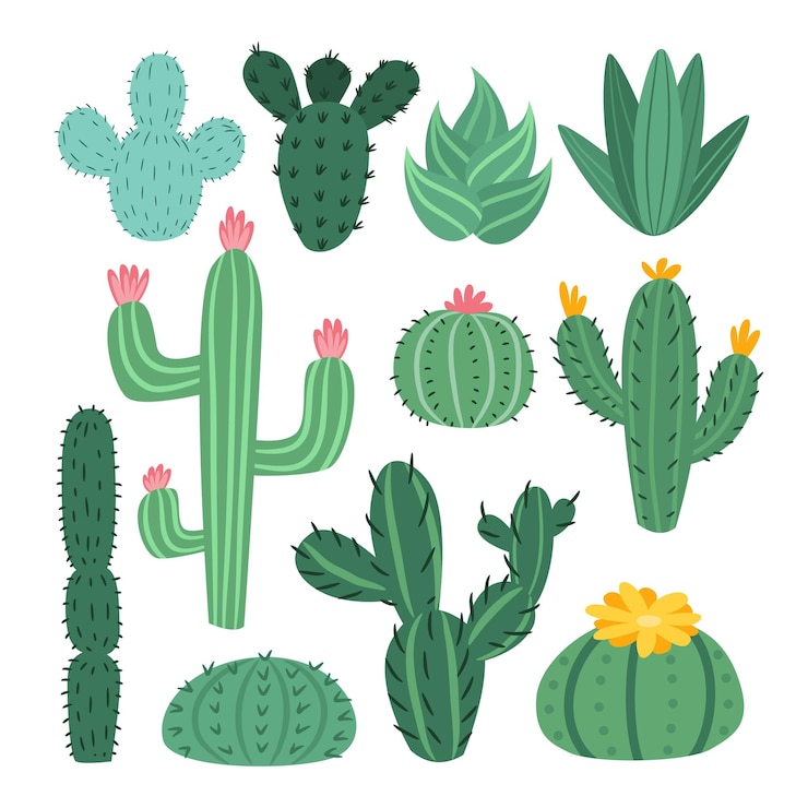 Vettore set vettoriale di simpatici cactus, aloe e foglie. collezione di piante di cactus esotici. decorativo naturale.