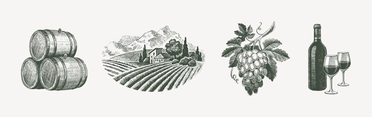 Vettore set vettoriale disegnato a mano