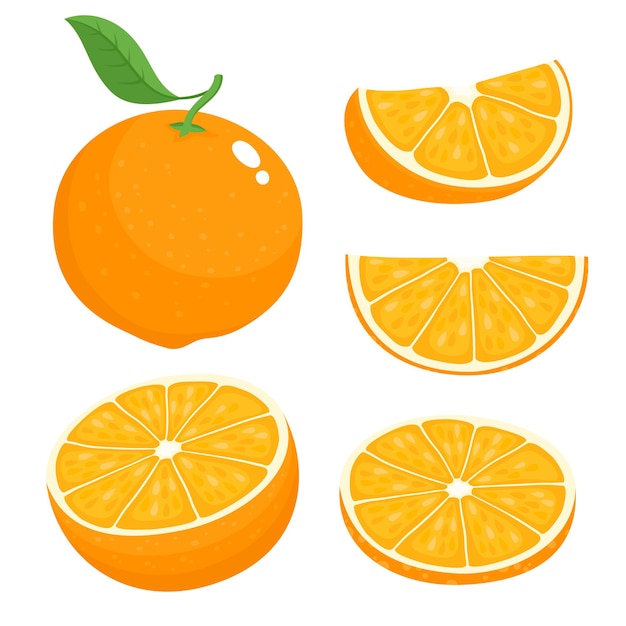 Set vettoriale luminoso di metà colorata, fetta e segmento di arancia succosa. Arance fresche del fumetto su priorità bassa bianca.