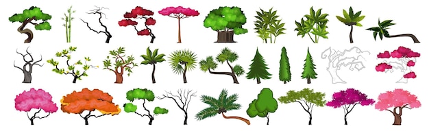 Seth alberi provenienti da diverse zone climatiche su uno sfondo bianco - Illustrazione vettoriale