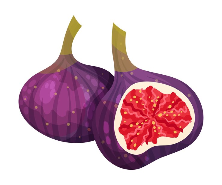 Vettore sezione trasversale del frutto di fico che mostra la carne luminosa con piccoli semi all'interno dell'illustrazione vettoriale
