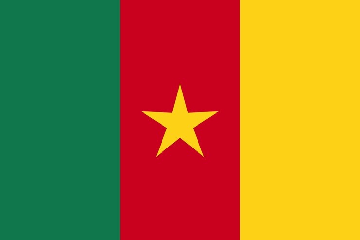 Sfondio della bandiera del Camerun Realistico disegno della bandiera nazionale Modello vettoriale astratto