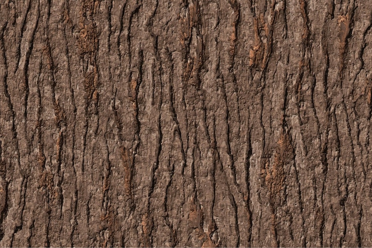 Vettore sfondo a consistenza di corteccia lunga