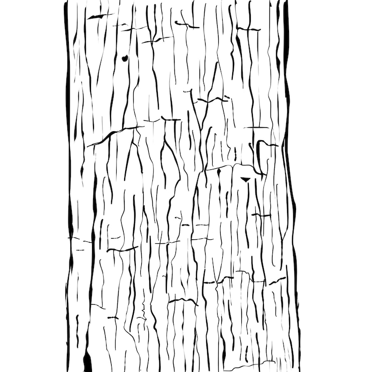 Vettore sfondo a consistenza di pelle di legno