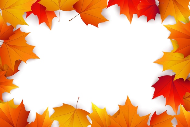 Sfondo autunnale con foglie di acero e quercia dorate. Illustrazione di carta vettoriale.