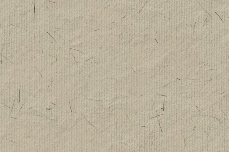 Vettore sfondo di consistenza di carta di riso fatta a mano