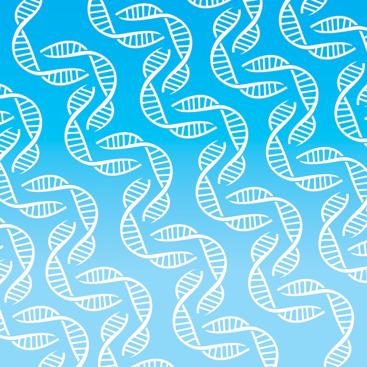 Vettore sfondo di elica del dna