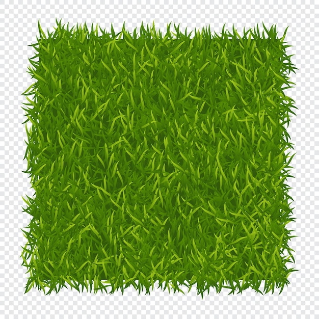 Sfondo di erba verde Natura del prato Trama di campo astratto Trama di erba verde Illustrazione vettoriale