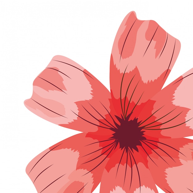 sfondo di fiore isolatd
