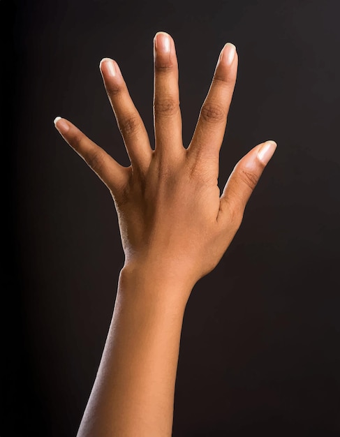 sfondo di illustrazione del logo a mano