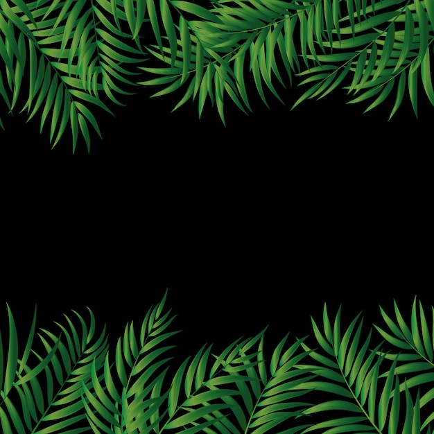 Sfondo di palma verde naturale tropicale. Illustrazione