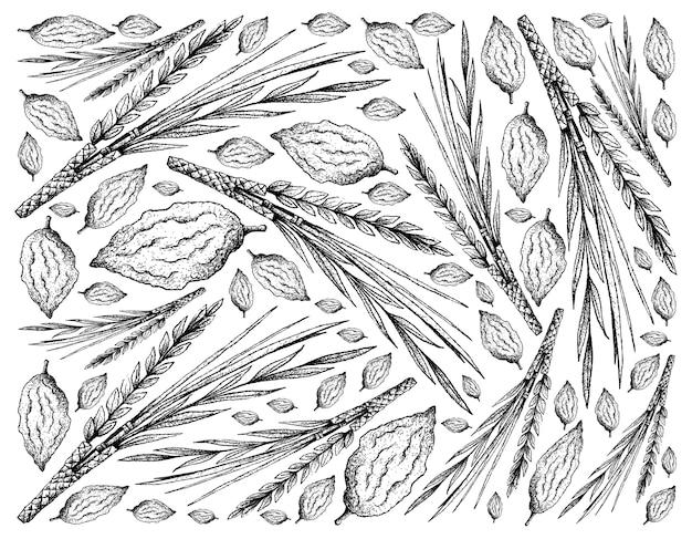 Sfondo disegnato a mano di Lulav ed Etrog