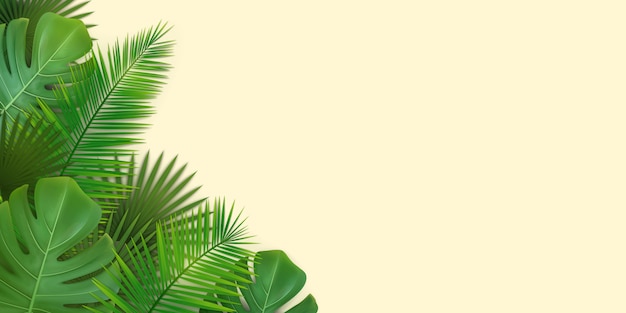 Sfondo estivo con foglie tropicali di palme e monstera