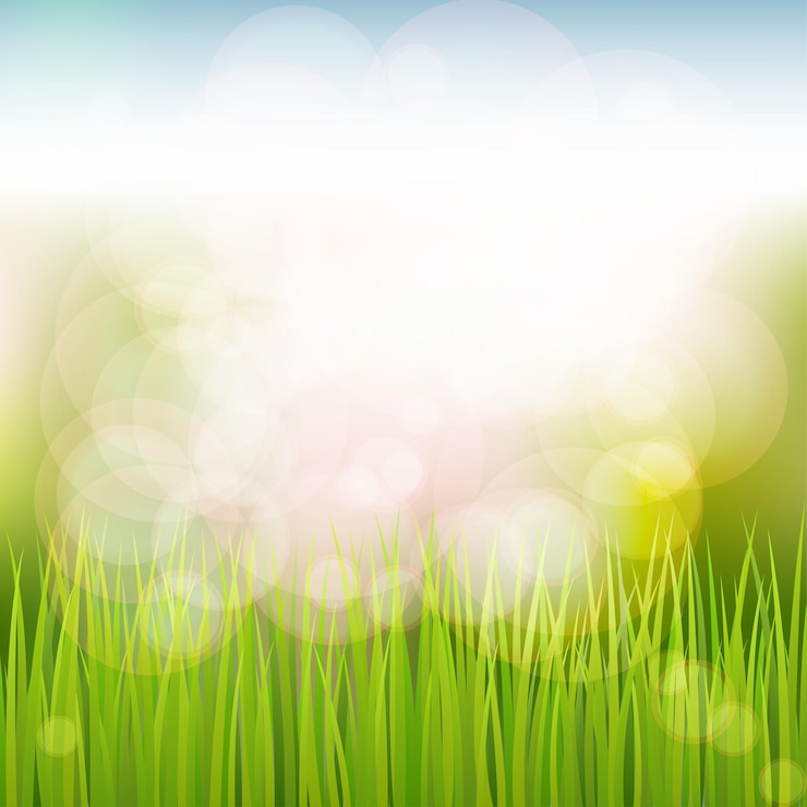 Vettore sfondo naturale primaverile con erba, cielo, riflesso del sole sun