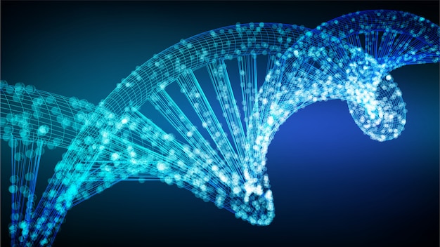 Sfondo sequenza DNA. Maglia metallica della struttura delle molecole di codice del DNA di Wireframe.