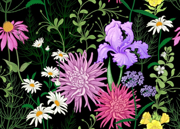 Sfondo trasparente con fiori selvatici Modello a colori