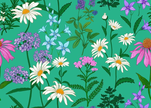 Sfondo trasparente con fiori selvatici Modello a colori