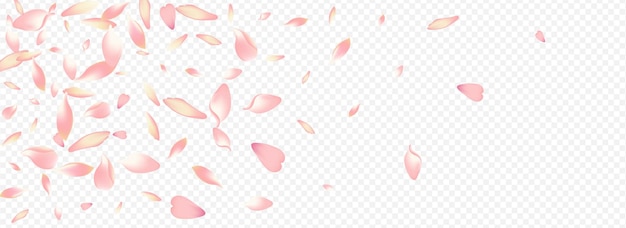Sfondo trasparente panoramico di vettore di cuore bianco. Manifesto del matrimonio di Sakura. Modello di pioggia di fiori. Congratulazioni alla rosa primaverile. Disegno della madre del fiore rosa.