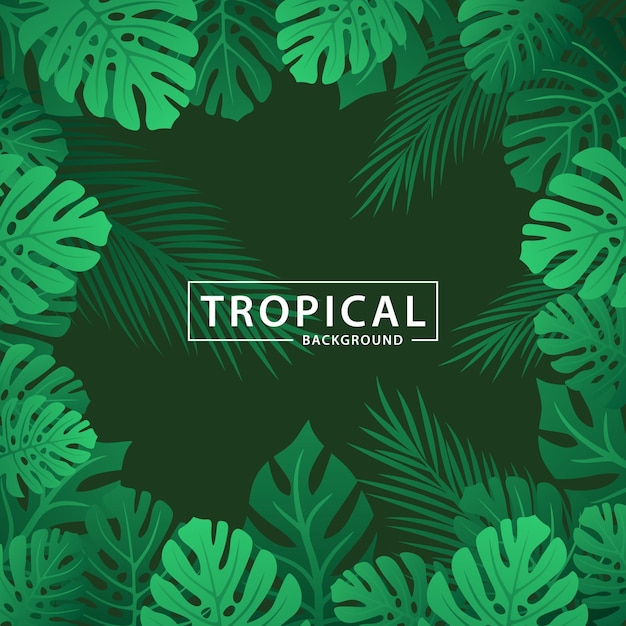 Sfondo tropicale con foglie di palma e monstera