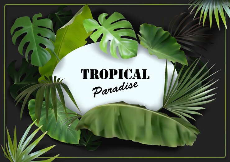 Sfondo verde foglie tropicali con spazio ovale bianco