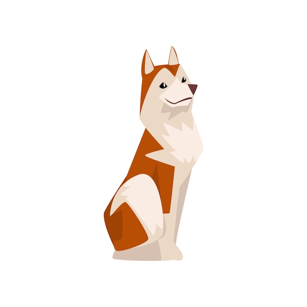 Shiba Inu Dog Cute Japan Brown Beige Fluffy Pet Animal Vector Illustration su sfondo bianco