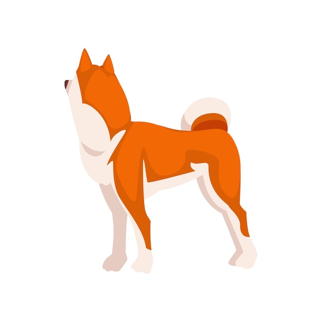 Shiba Inu Dog Cute Japan Rosso Bianco Fluffy Animale domestico Illustrazione vettoriale su sfondo bianco