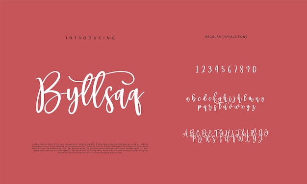 Signature Font Calligraphy Logotype Script Brush Font Type Lettere scritte a mano.