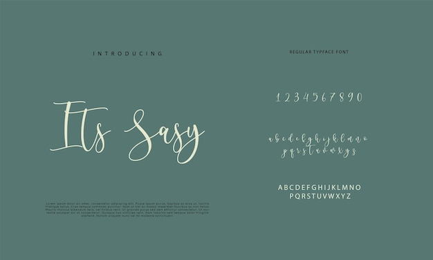 Signature Font Calligraphy Logotype Script Brush Font Type Lettere scritte a mano.