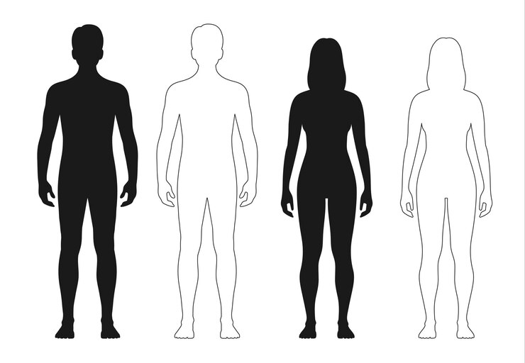 Vettore silhouette del corpo umano uomo donna contorno figura