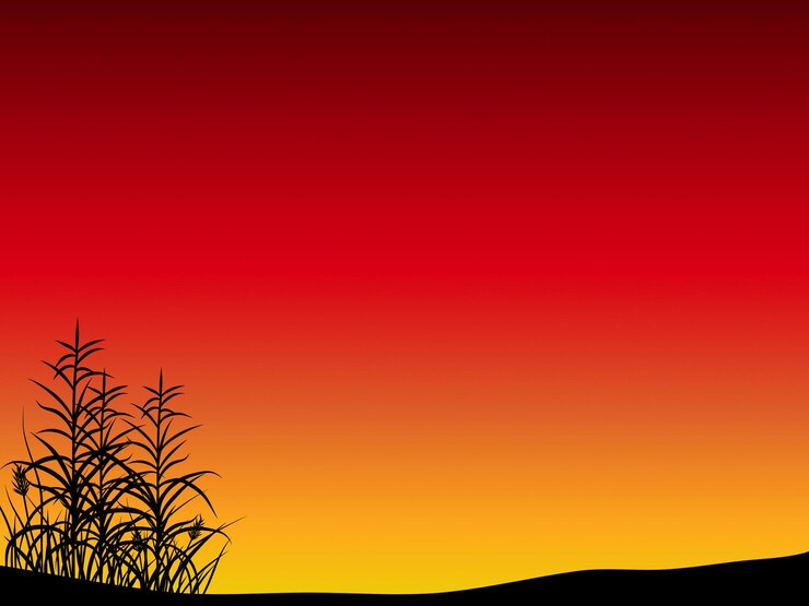 Vettore silhouette del tramonto con canne sul campo