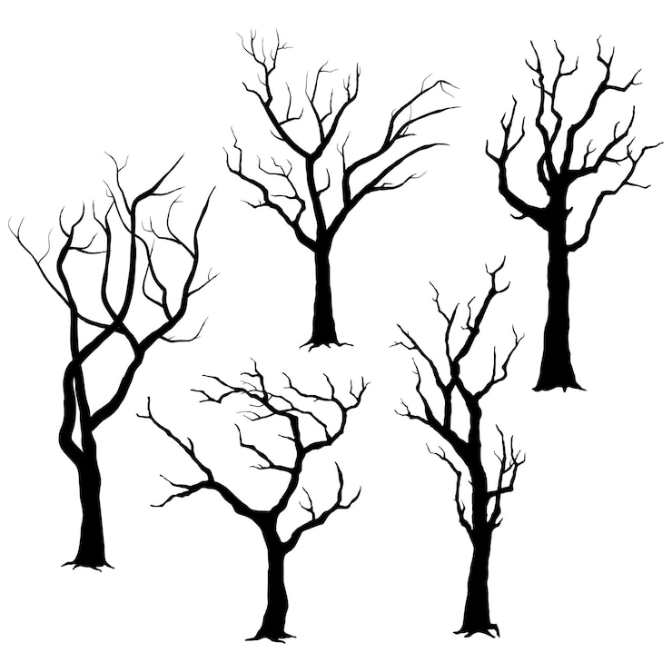 Vettore silhouette dell'albero